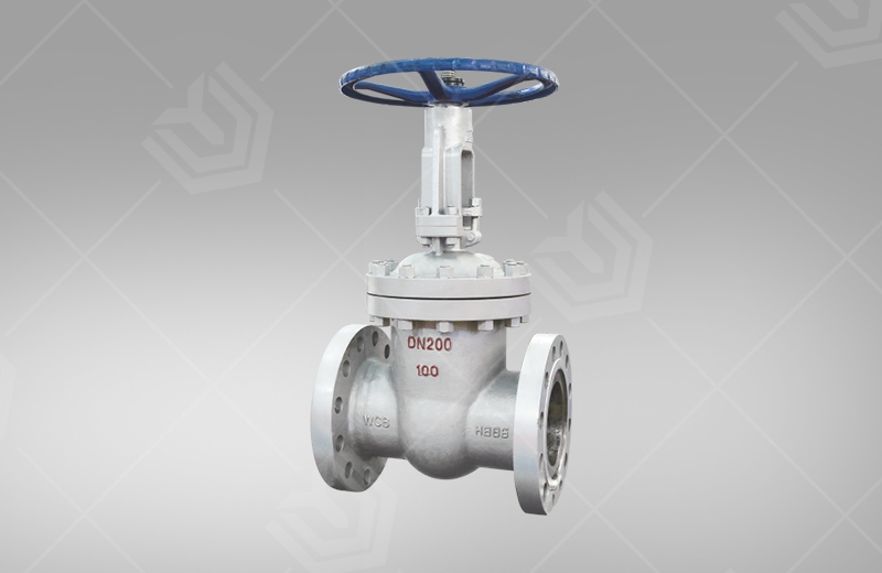 CNS cast steel gate valve