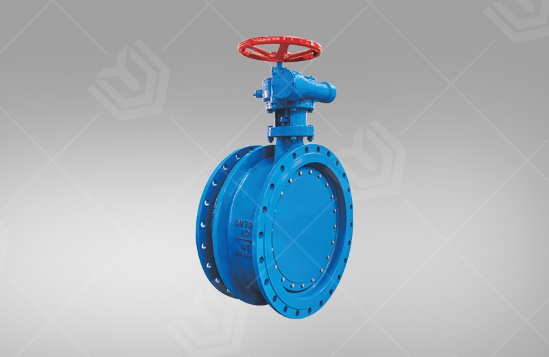Expansion Butterfly Valve