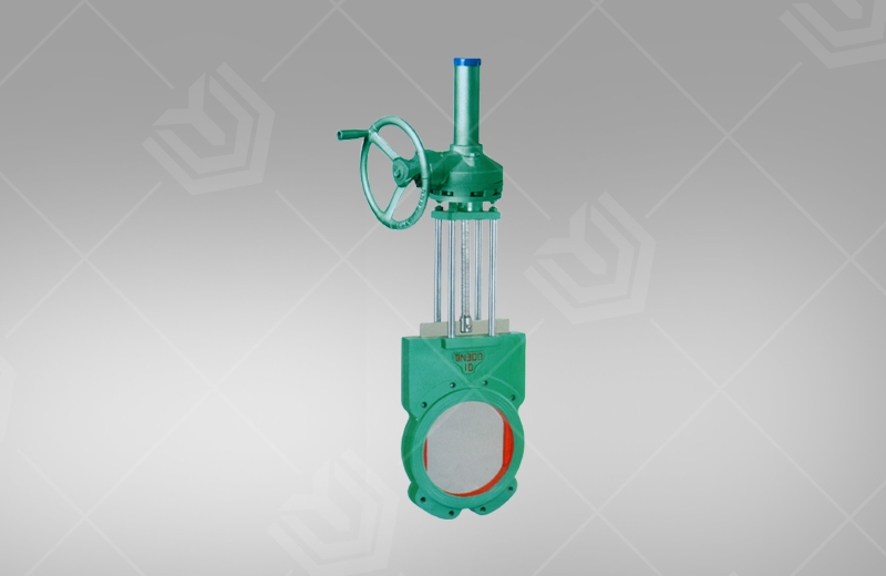 Slurry Valve