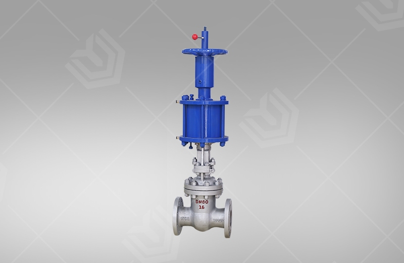 Pneumatic gate valve