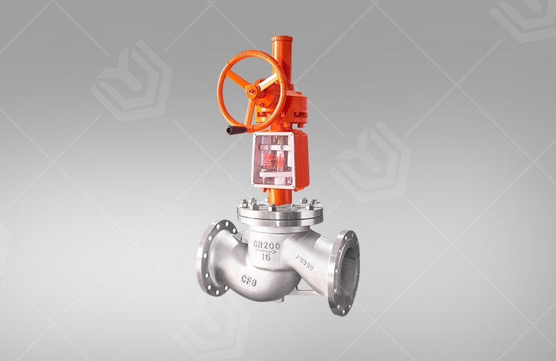 Oxygen special globe valve