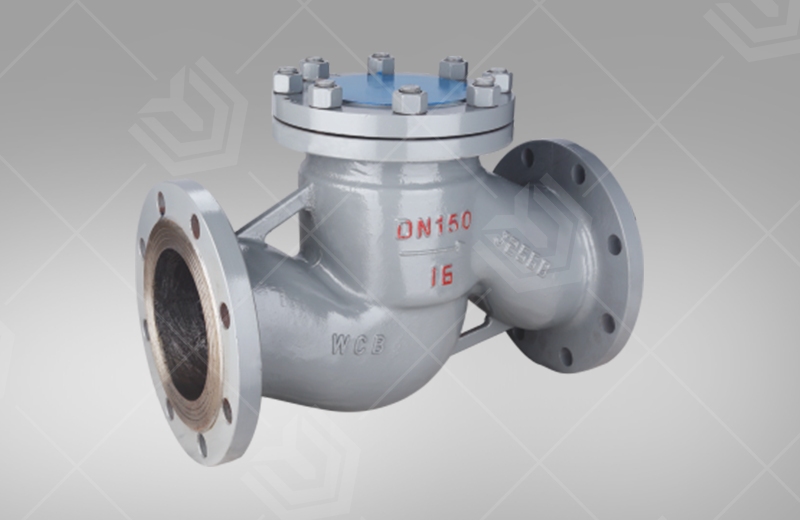 Flange connection lift check valve