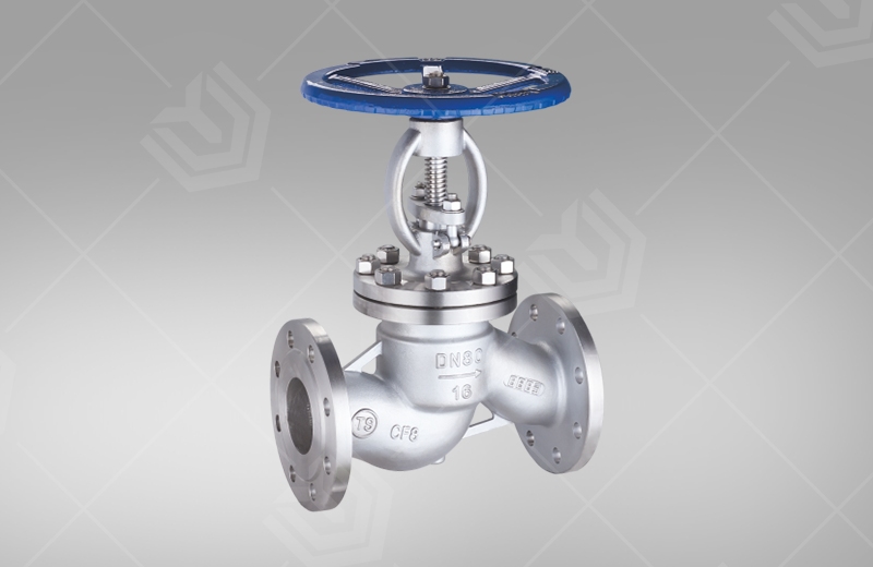 Stainless steel globe valve