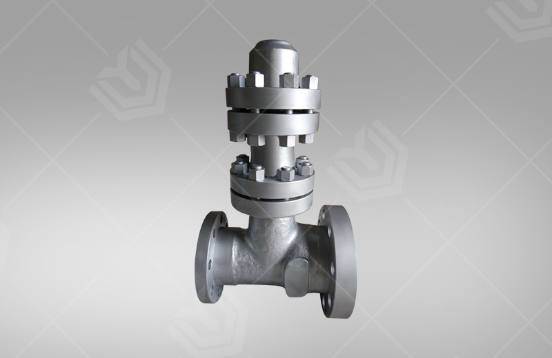 Empty check valve