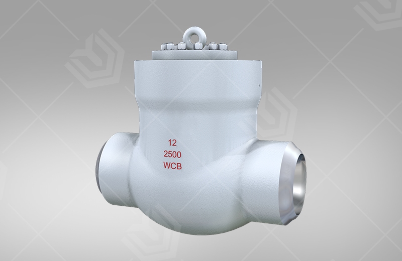 Power station high pressure swing check valve
