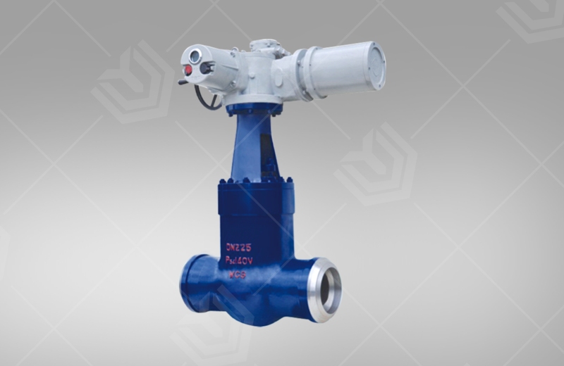 Electric high temperature and high pressure gate v