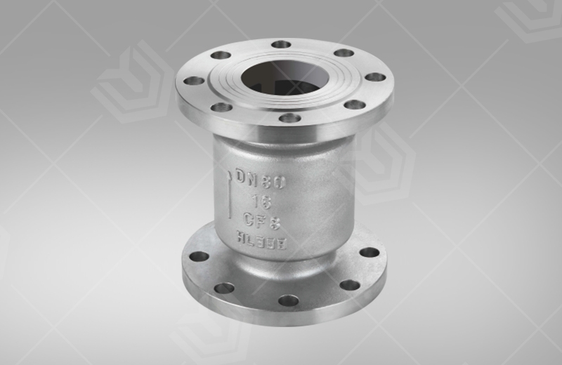 Stainless Steel Vertical Check Valve