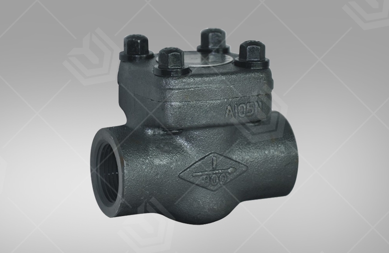 Forged steel female thread, socket check valve