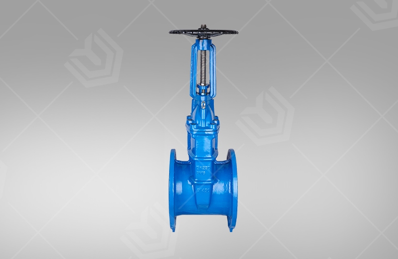 Rising stem elastic seat gate valve