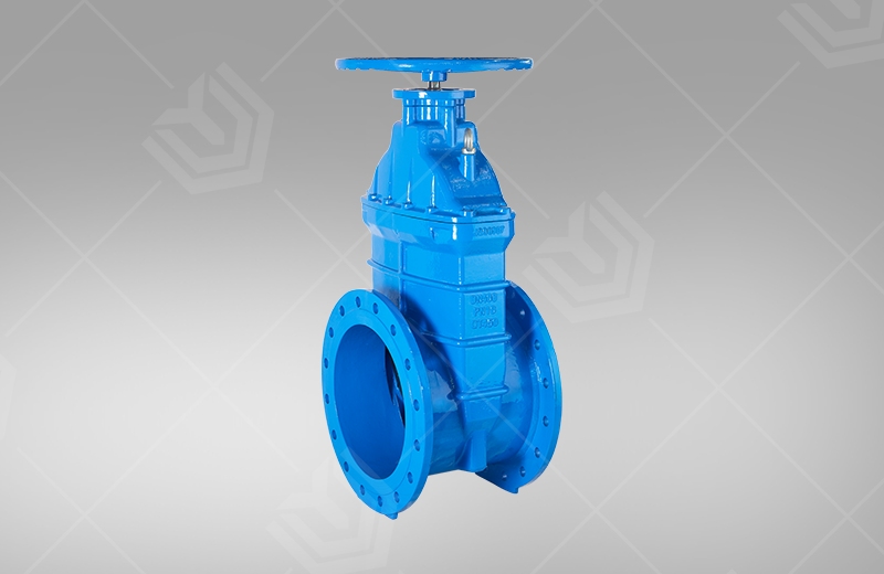 Large diameter elastic seat gate valve
