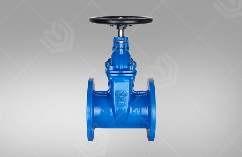 Non rising stem elastic seat seal gate valve