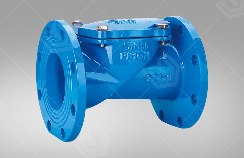 Rubber disc check valve