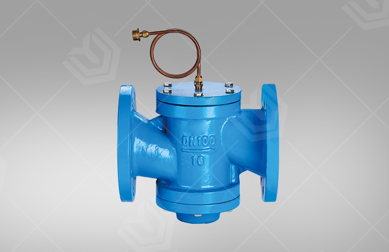 Self-operated differential pressure control valve