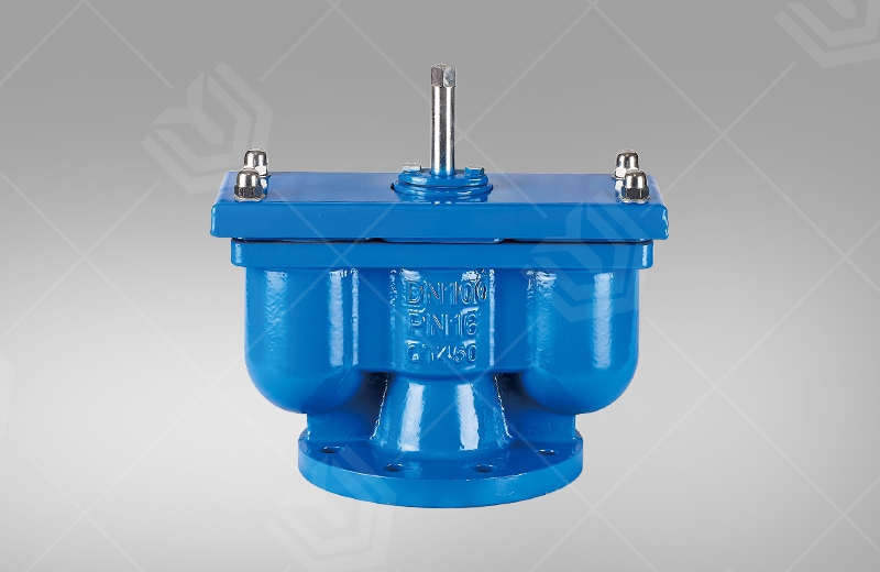 Flanged double port exhaust valve