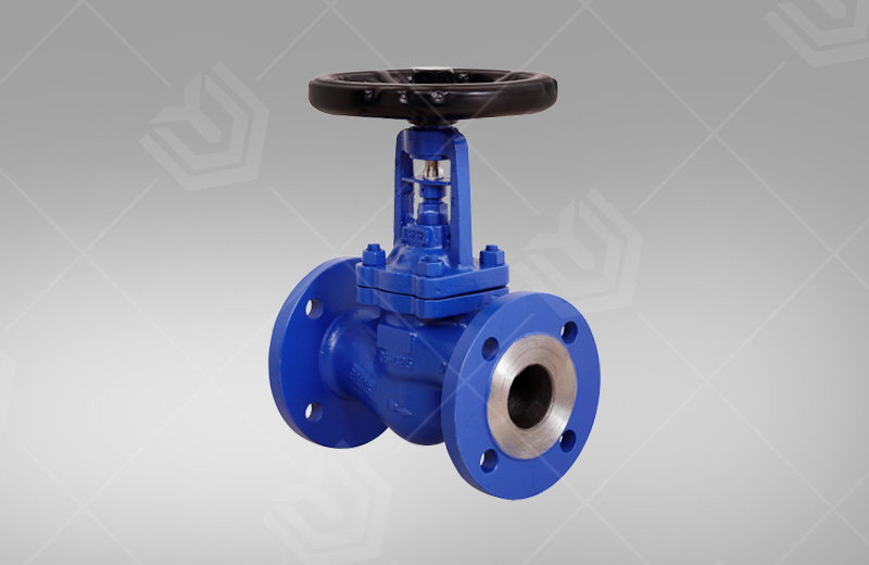 Bellows seal globe valve