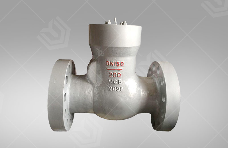High pressure flange check valve