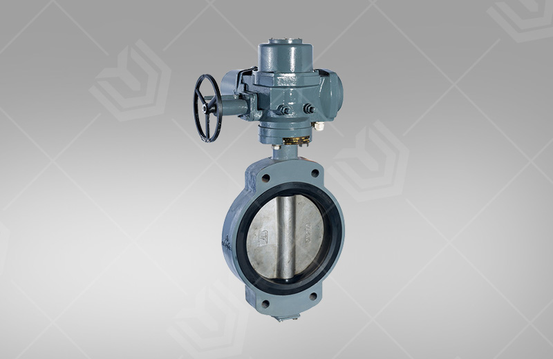 Marine Center Wafer Butterfly Valve
