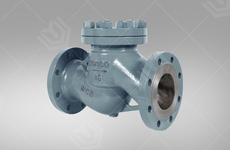 Marine flange cast steel check valve