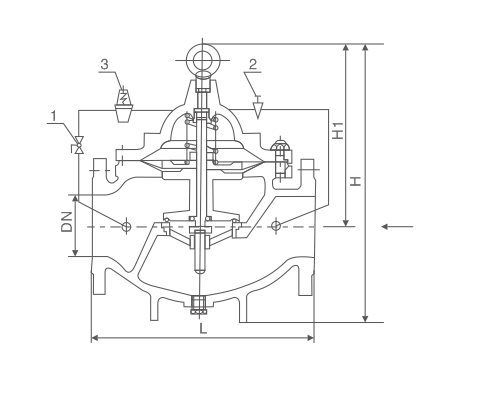限流止回阀(图1)
