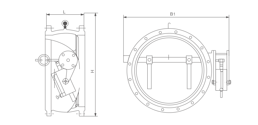蝶式缓冲止回阀(图1)