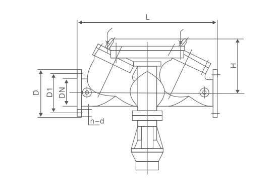 倒流防止器(图1)